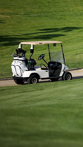 场地电动车行业